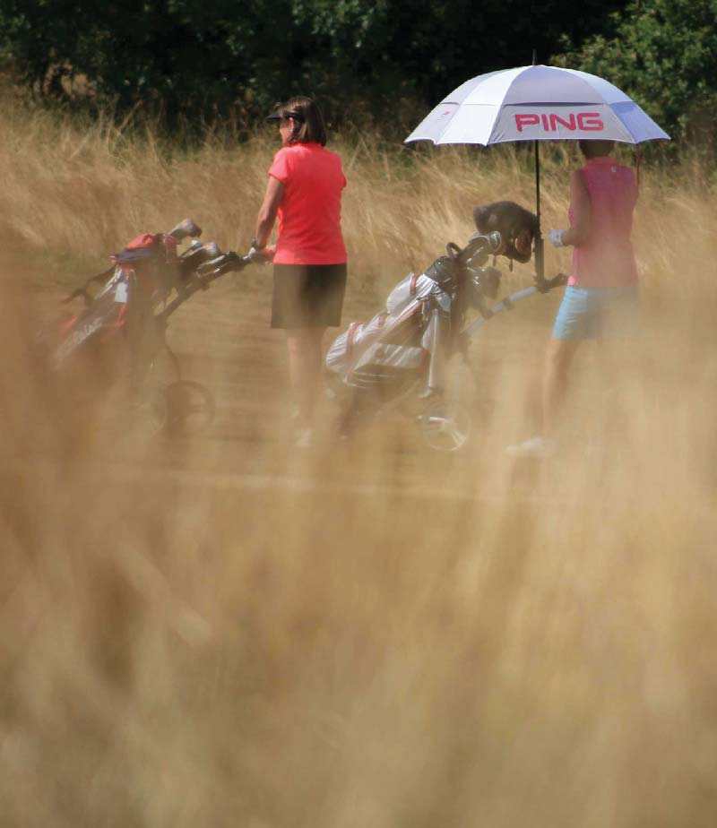 Ladies-Golf-background9_800px